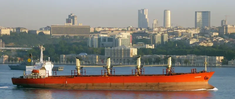 RUN FU 7 Bulk Carrier IMO 8912522 photo 3