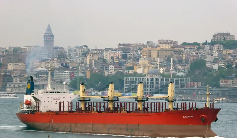 RUN FU 7 Bulk Carrier IMO 8912522 photo 5