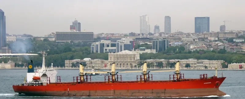 RUN FU 7 Bulk Carrier IMO 8912522 photo 6