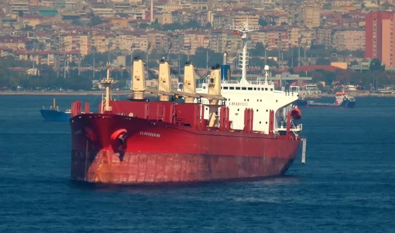 RUN FU 7 Bulk Carrier IMO 8912522 photo 10
