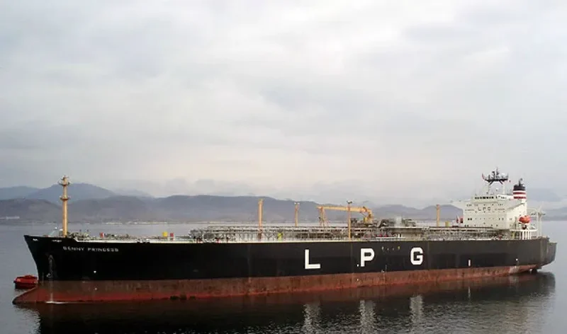 TOWER RISE General Cargo IMO 8912546 photo 2