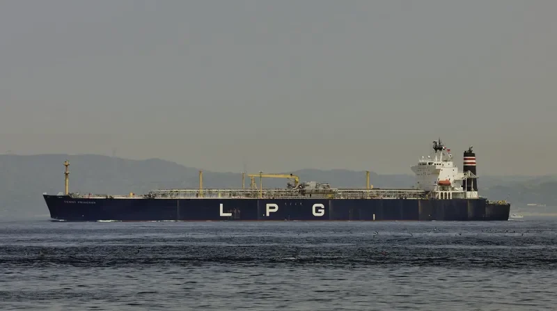TOWER RISE General Cargo IMO 8912546 photo 4