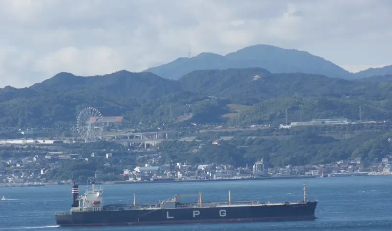 TOWER RISE General Cargo IMO 8912546 photo 9