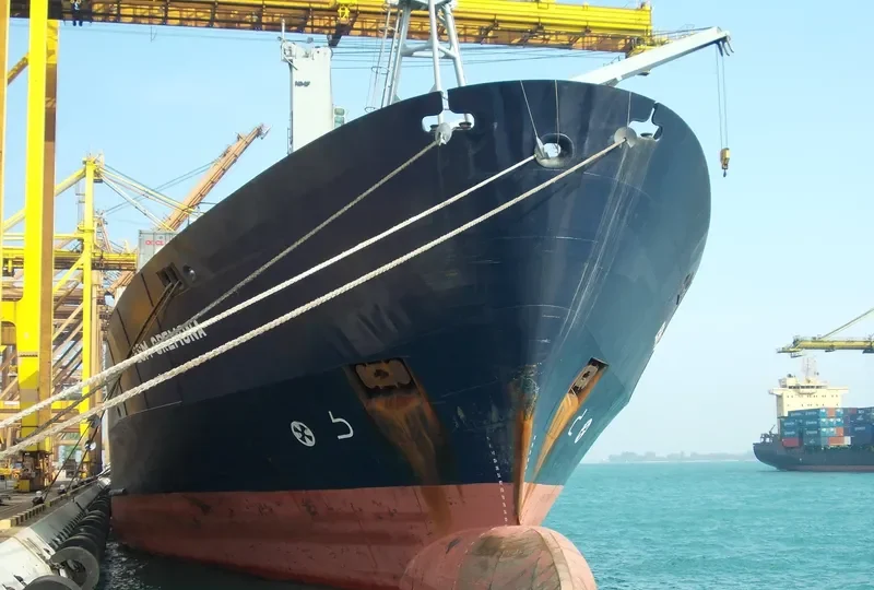 ESM CREMONA Container Ship IMO 8912742 photo 2