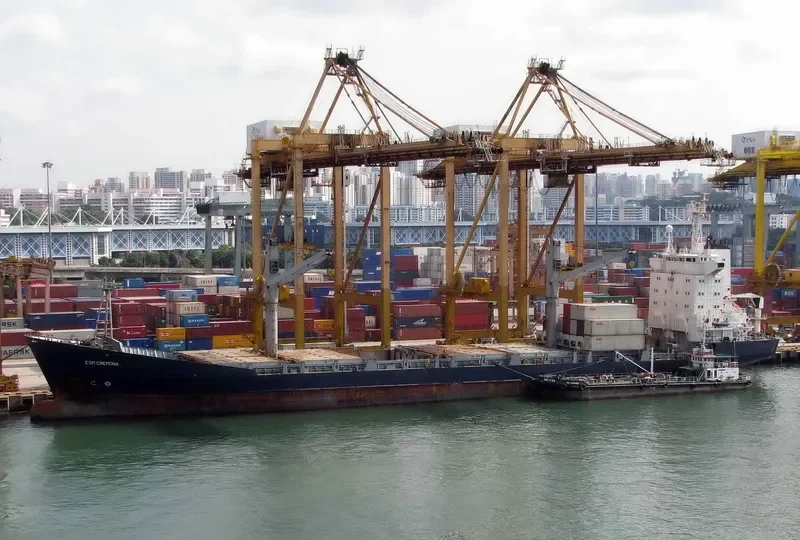 ESM CREMONA Container Ship IMO 8912742 photo 8