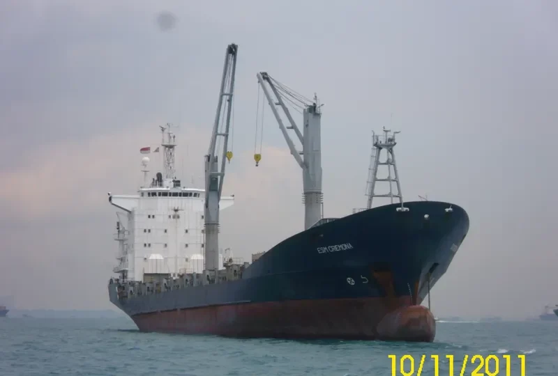 ESM CREMONA Container Ship IMO 8912742 photo 9