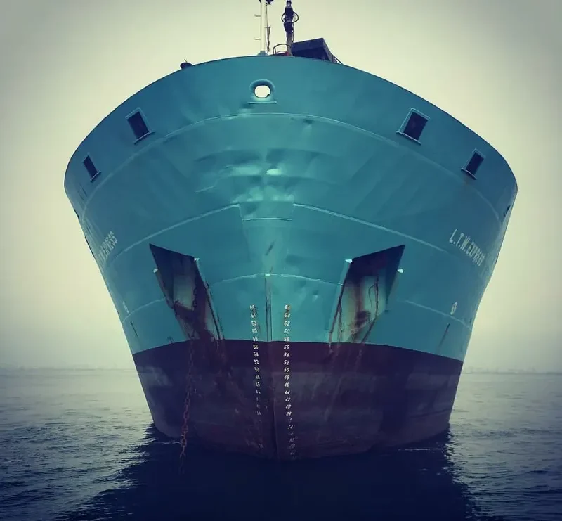 BABY LEEN General Cargo IMO 8912792 photo 2
