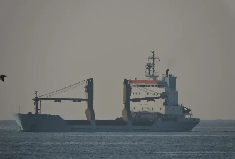 BABY LEEN General Cargo IMO 8912792 photo 3