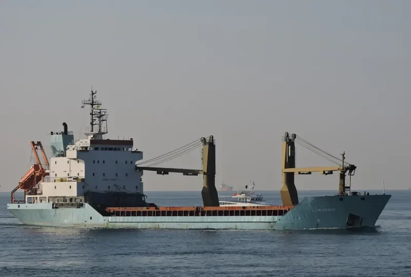 BABY LEEN General Cargo IMO 8912792 photo 4