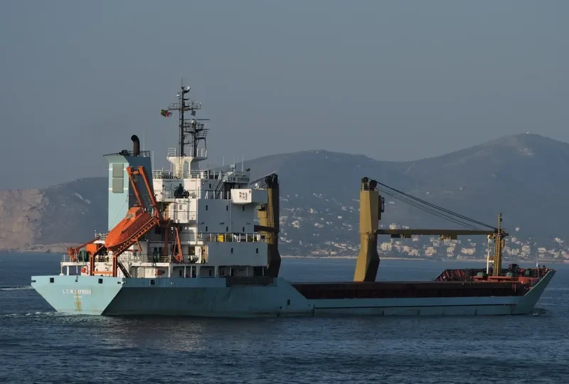 BABY LEEN General Cargo IMO 8912792 photo 6