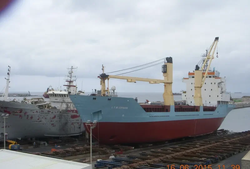 BABY LEEN General Cargo IMO 8912792 photo 10