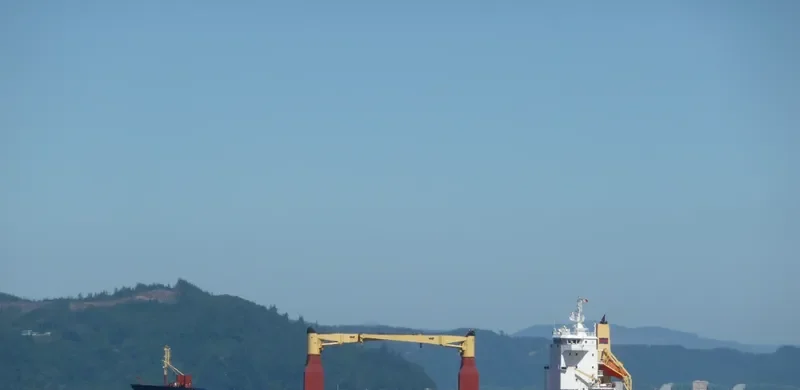 RED ROVER General Cargo IMO 8912900 photo 8