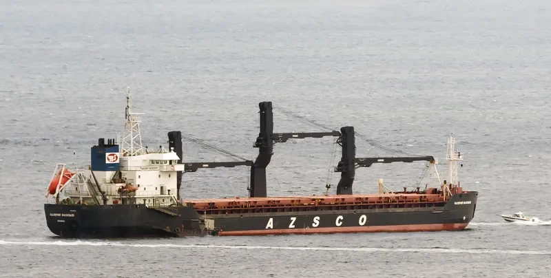 VALERI VASILIEV General Cargo IMO 8912974