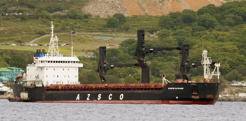 VALERI VASILIEV General Cargo IMO 8912974 photo 2