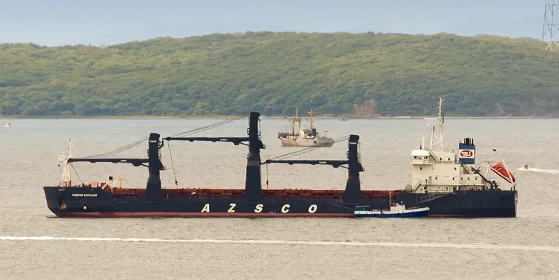 VALERI VASILIEV General Cargo IMO 8912974 photo 3