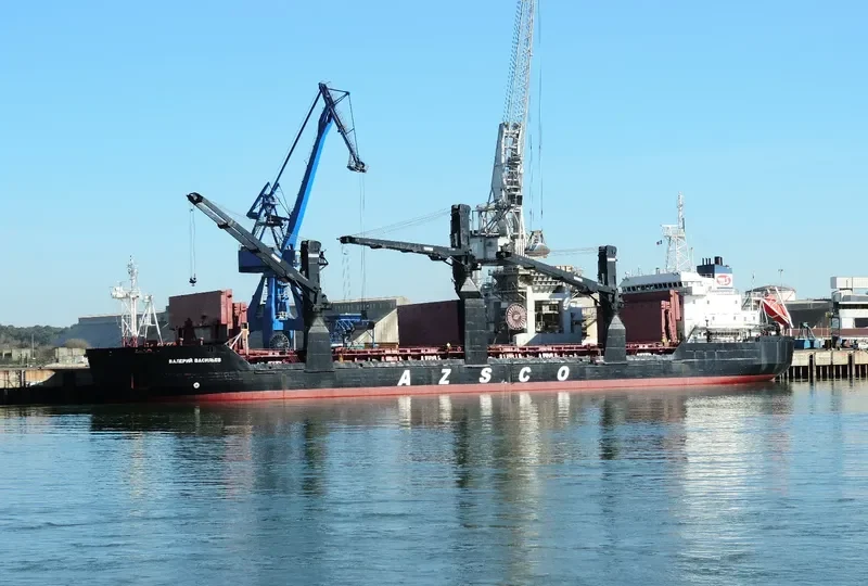 VALERI VASILIEV General Cargo IMO 8912974 photo 4