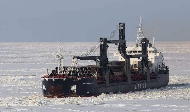 VALERI VASILIEV General Cargo IMO 8912974 photo 6