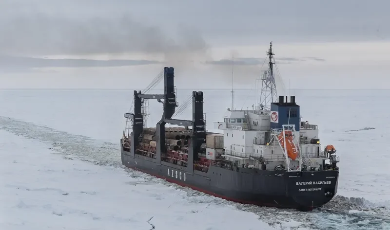VALERI VASILIEV General Cargo IMO 8912974 photo 7