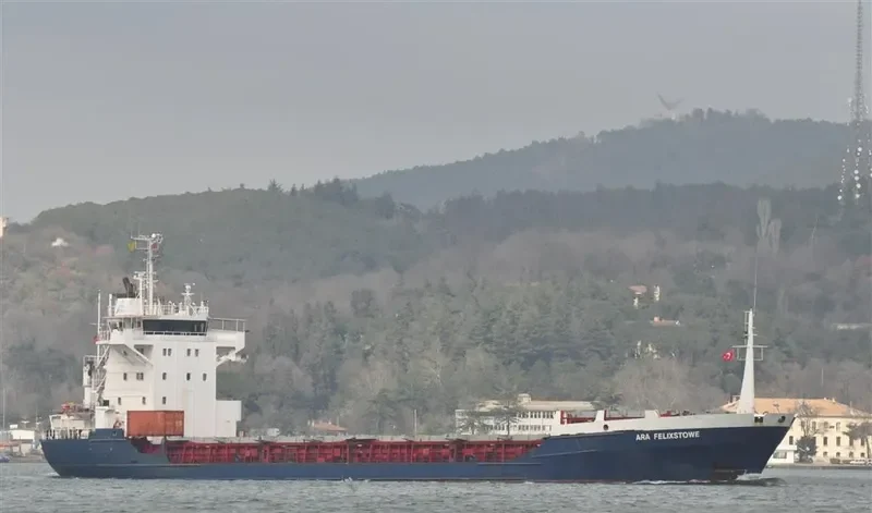 BINTANG JASA 33 General Cargo IMO 8913033 photo 9