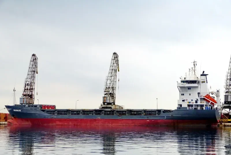 KING VICTOR General Cargo IMO 8913057 photo 8