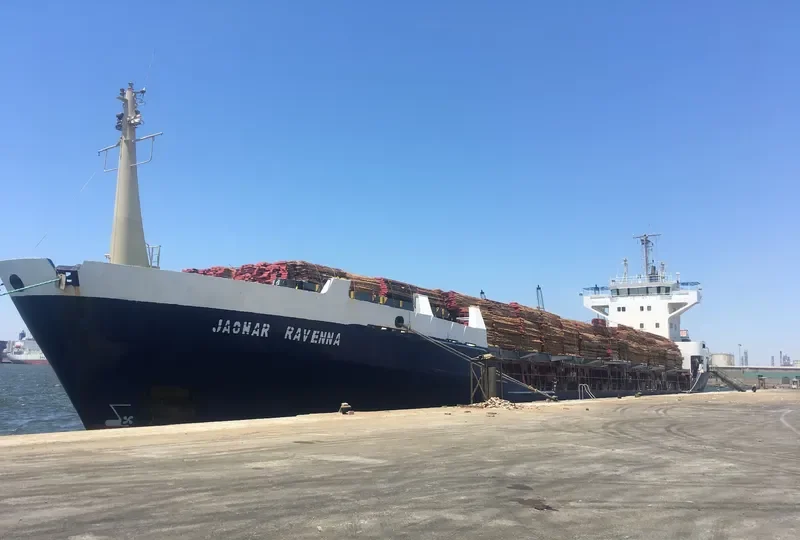 JAOHAR RAVENNA General Cargo IMO 8913071 photo 5