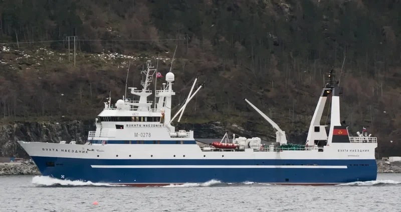 BUKHTA NAEZDNIK General Cargo IMO 8913253 photo 2