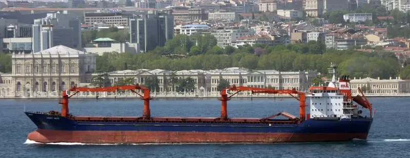 MEGAN General Cargo IMO 8913320 photo 8