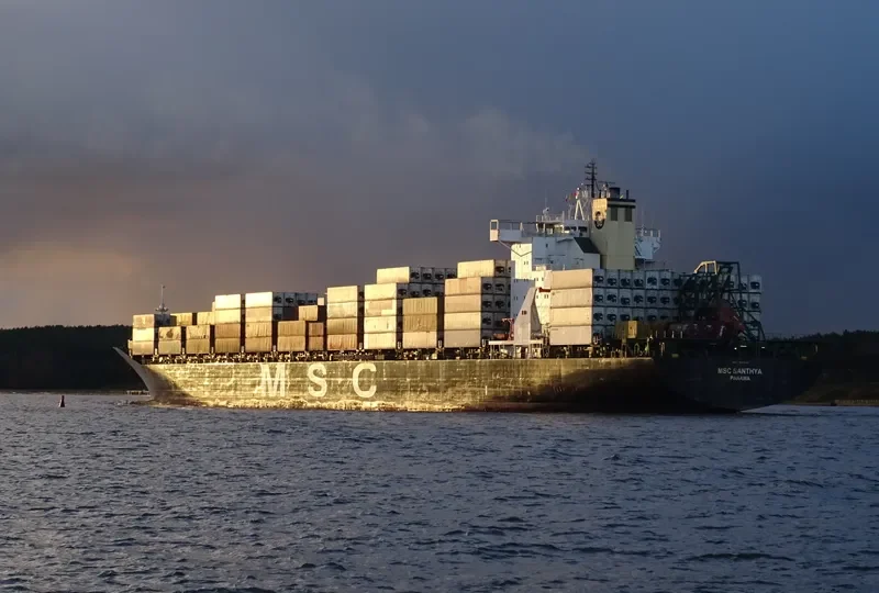 MSC SANTHYA Container Ship IMO 8913411 photo 2