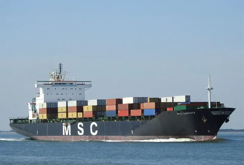 MSC SANTHYA Container Ship IMO 8913411 photo 9