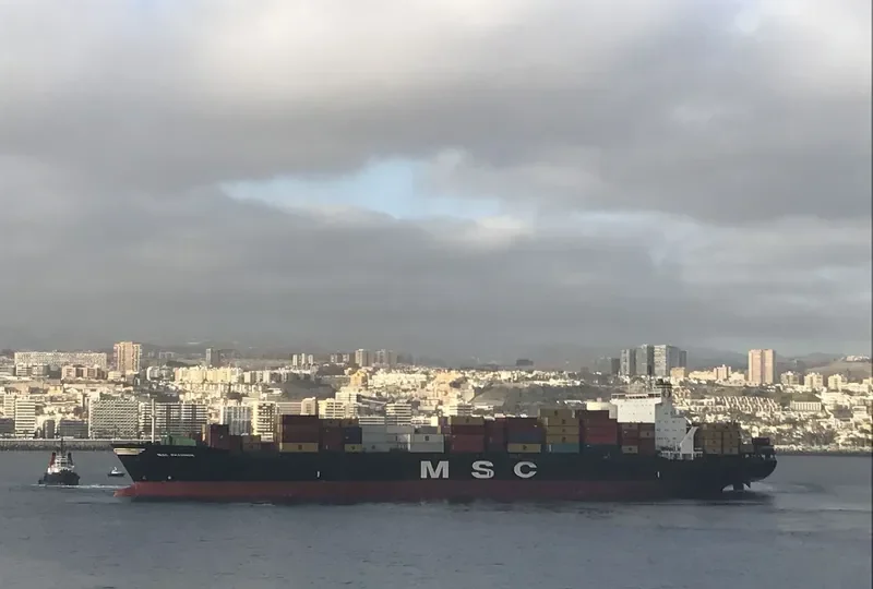 MSC SHANNON Container Ship IMO 8913423