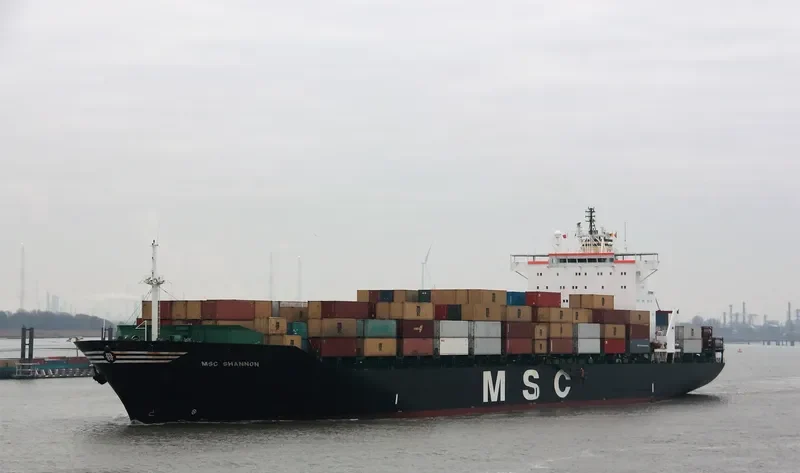 MSC SHANNON Container Ship IMO 8913423 photo 2