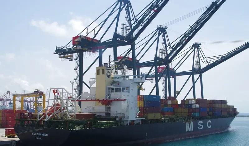 MSC SHANNON Container Ship IMO 8913423 photo 3