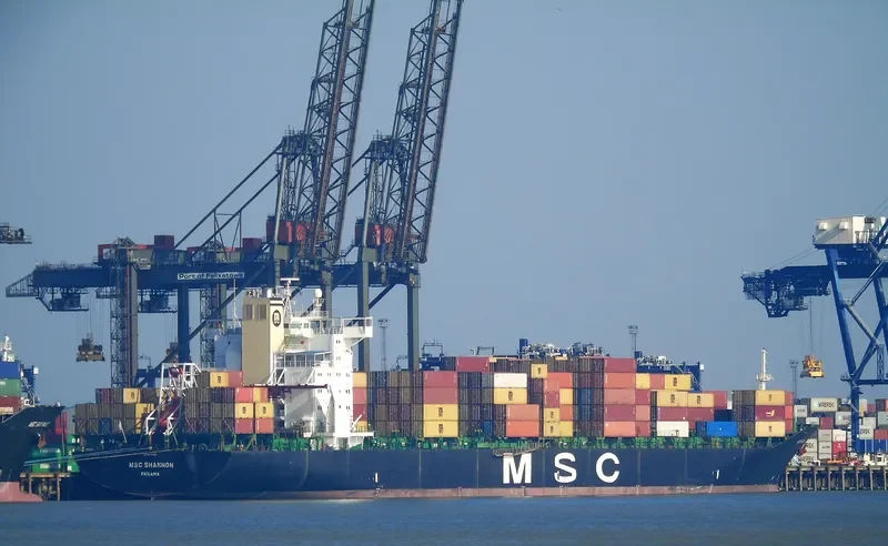 MSC SHANNON Container Ship IMO 8913423 photo 5