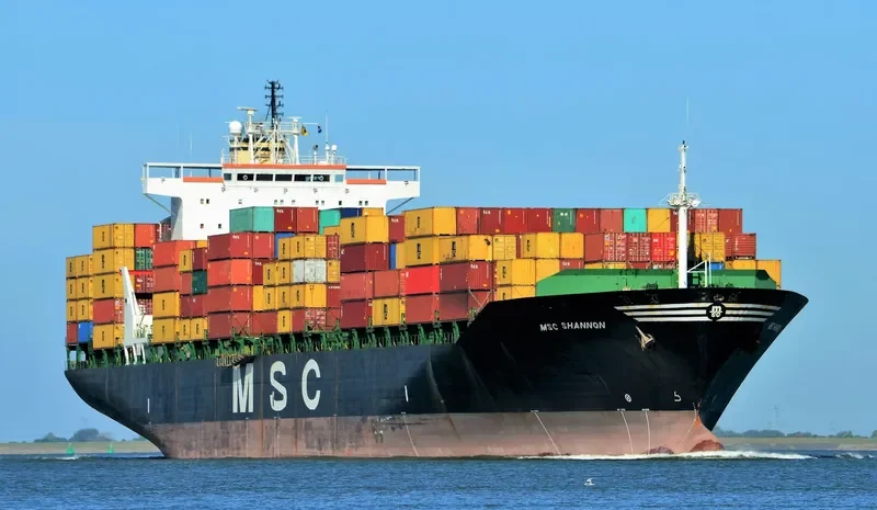 MSC SHANNON Container Ship IMO 8913423 photo 9