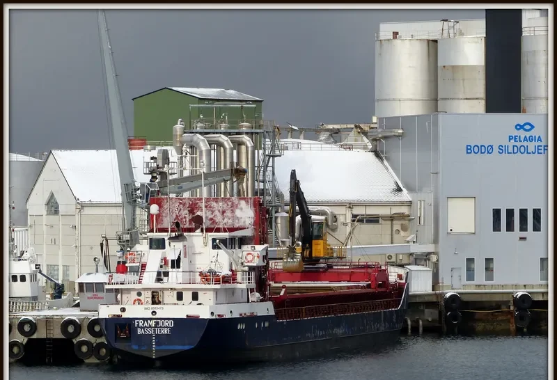 FRAMFJORD General Cargo IMO 8913473 photo 8