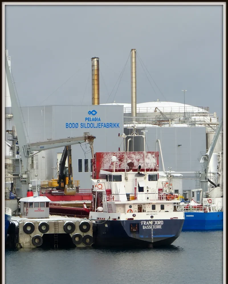 FRAMFJORD General Cargo IMO 8913473 photo 9