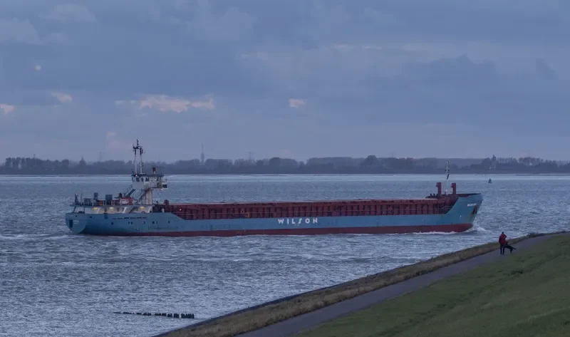 WILSON MAIN General Cargo IMO 8913485 photo 6