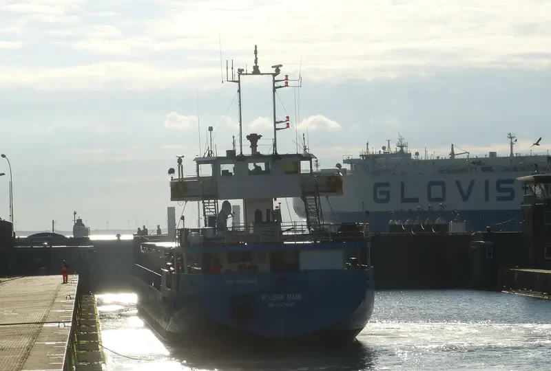 WILSON MAIN General Cargo IMO 8913485 photo 9