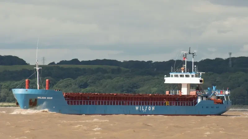 WILSON MAIN General Cargo IMO 8913485 photo 10