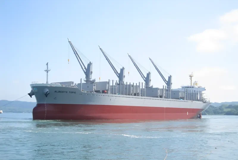 AL MUKHTAR Bulk Carrier IMO 8913538