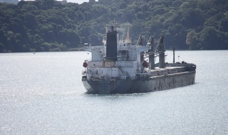 AL MUKHTAR Bulk Carrier IMO 8913538 photo 2