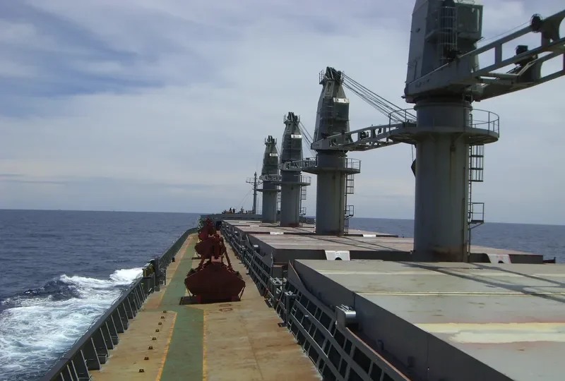 AL MUKHTAR Bulk Carrier IMO 8913538 photo 3