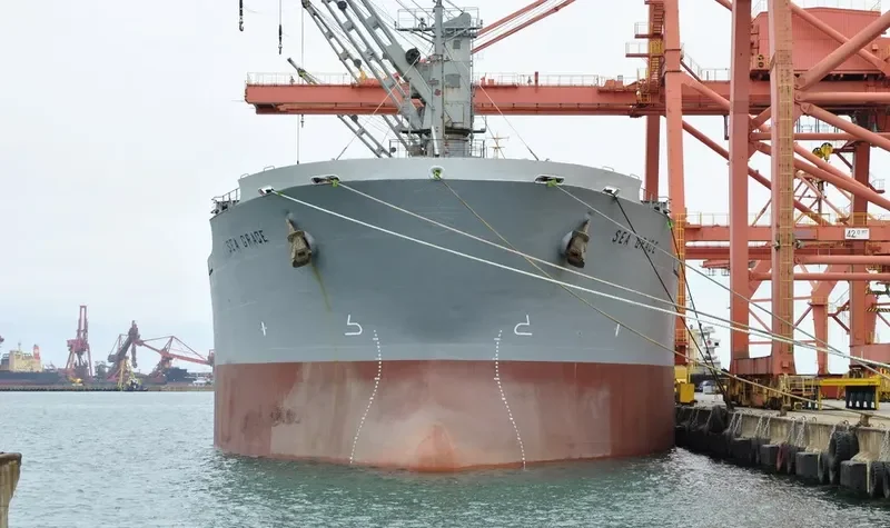 AL MUKHTAR Bulk Carrier IMO 8913538 photo 4