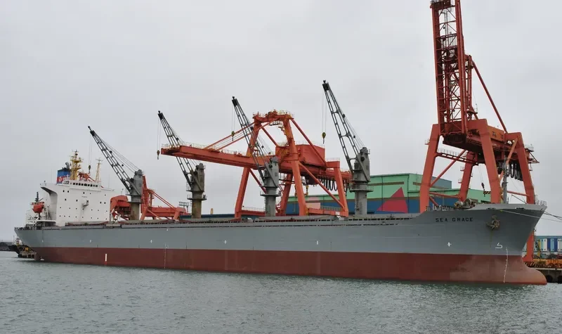 AL MUKHTAR Bulk Carrier IMO 8913538 photo 5