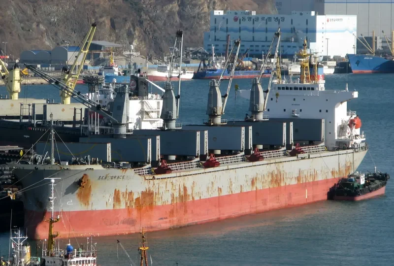 AL MUKHTAR Bulk Carrier IMO 8913538 photo 6
