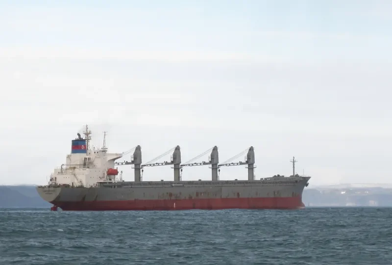 AL MUKHTAR Bulk Carrier IMO 8913538 photo 7