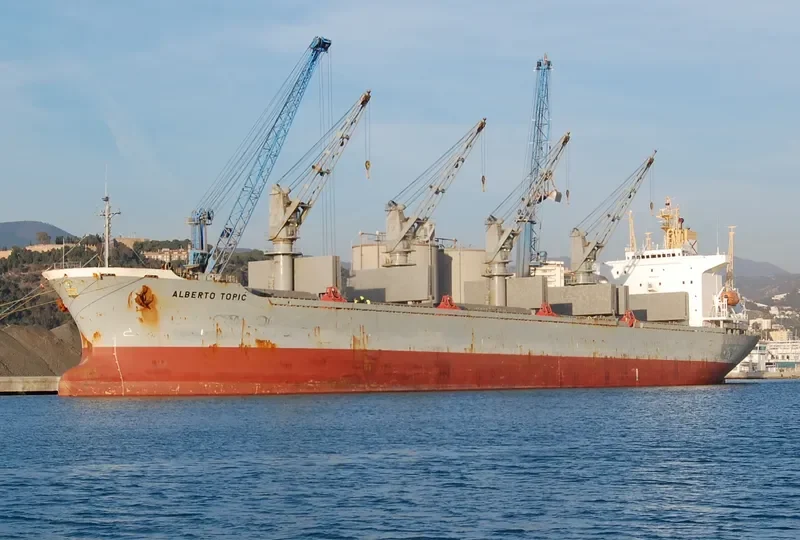 AL MUKHTAR Bulk Carrier IMO 8913538 photo 10