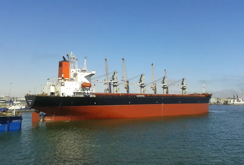 BOLD VOYAGER Bulk Carrier IMO 8913540