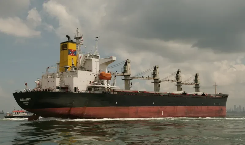 BOLD VOYAGER Bulk Carrier IMO 8913540 photo 2
