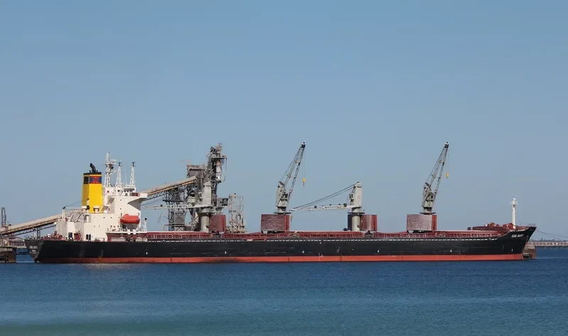 BOLD VOYAGER Bulk Carrier IMO 8913540 photo 3